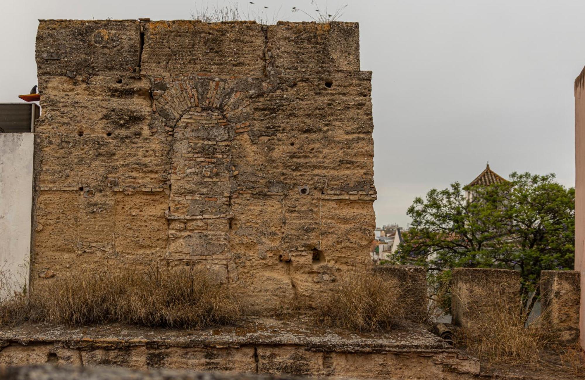 Atico La Casa Rosa - Parking Opcional Lejlighed Jerez de la Frontera Eksteriør billede